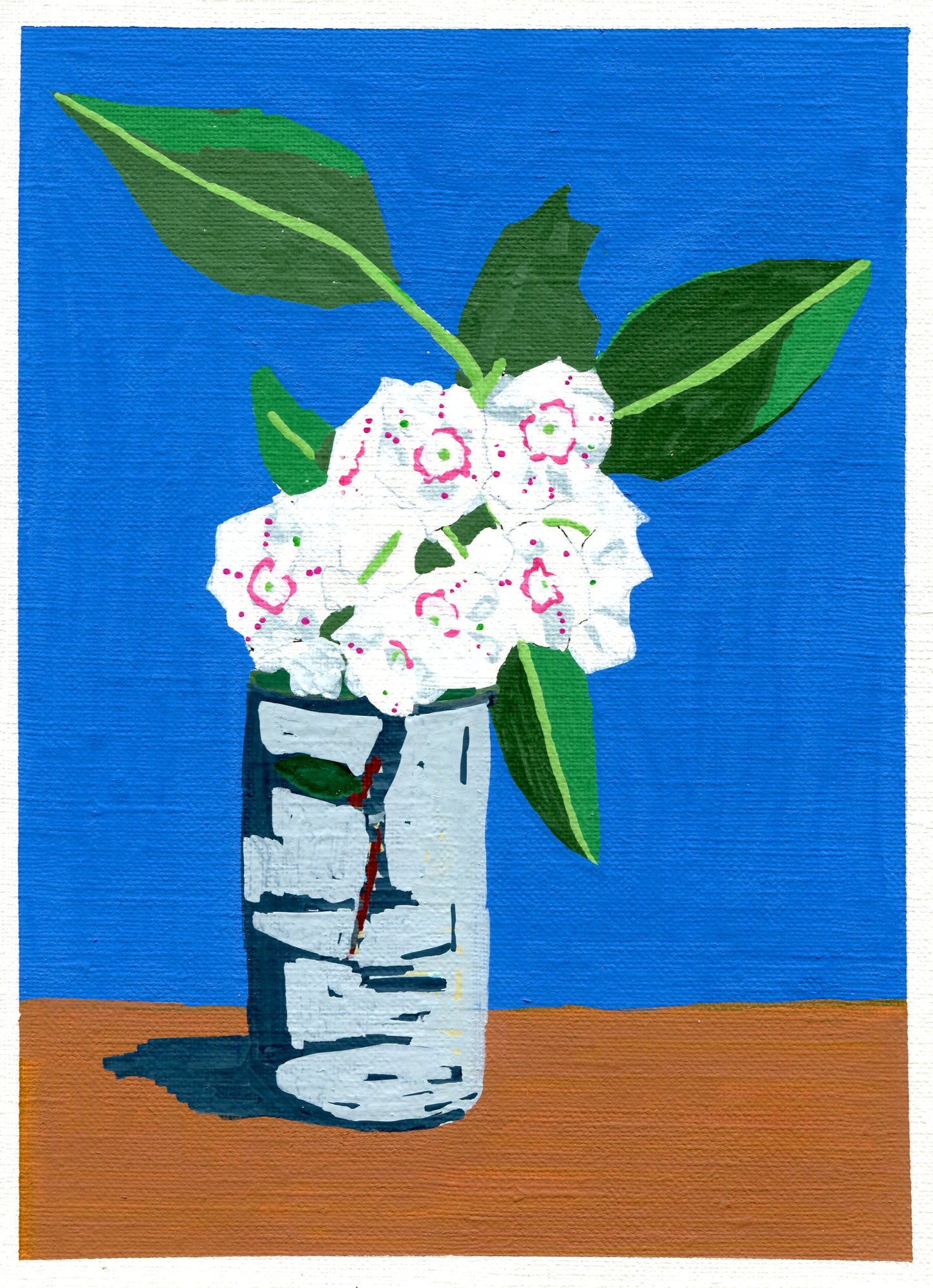 mountain laurel