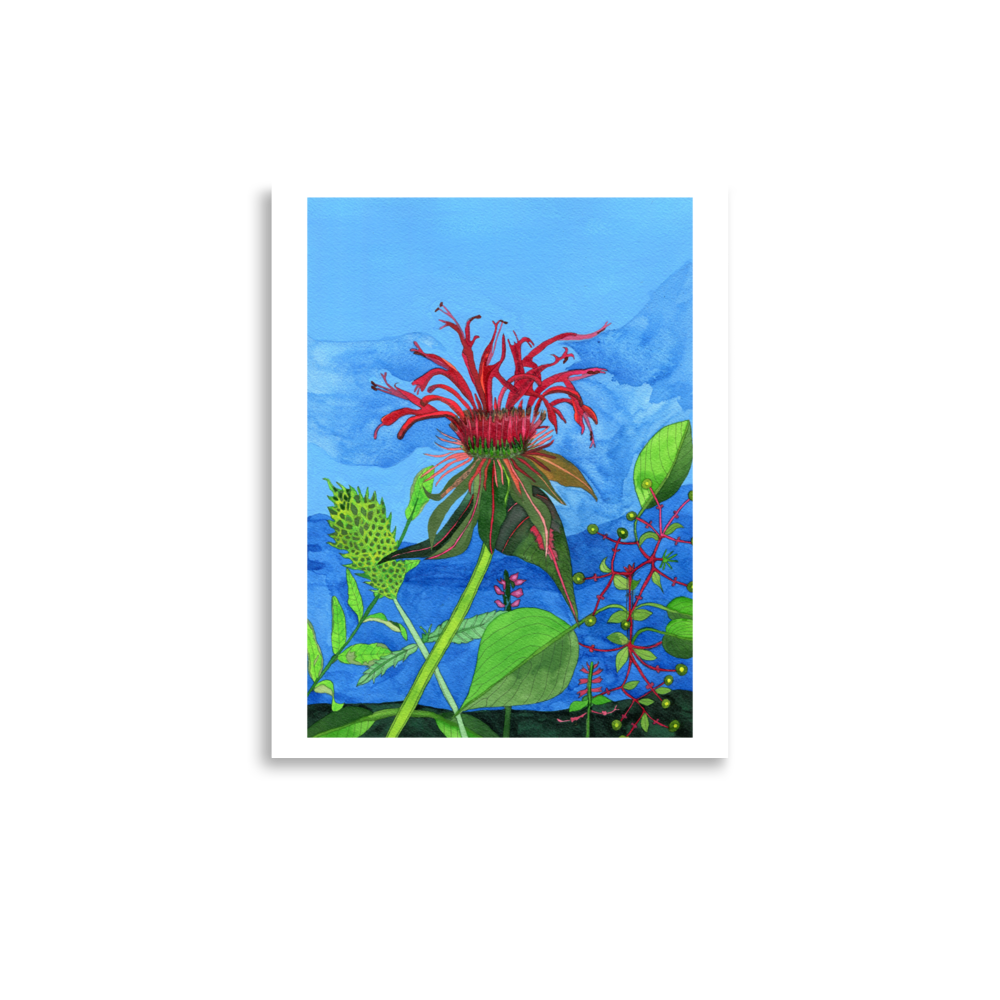 The Land of Beebalm Print