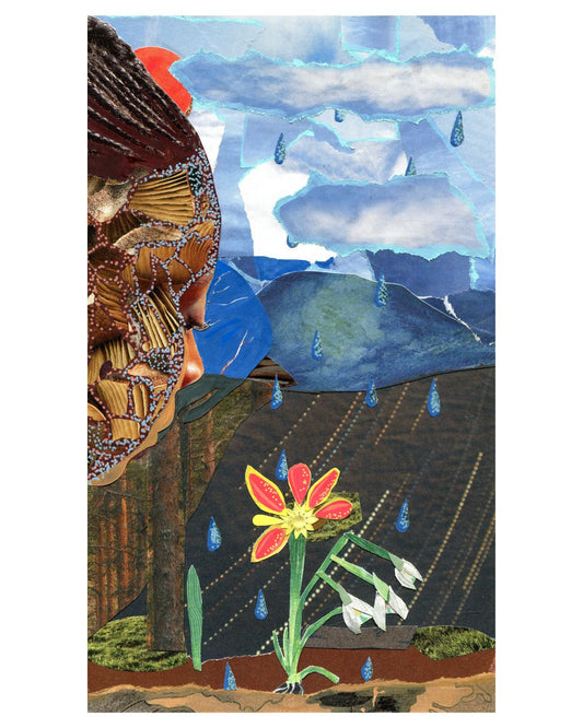 Monthly Postcard