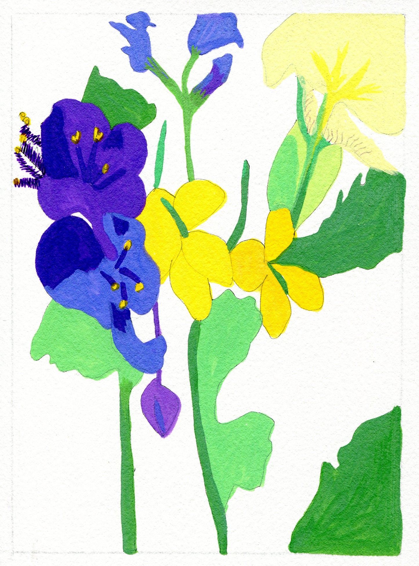 Spiderwort, celandine, iris and bluebell