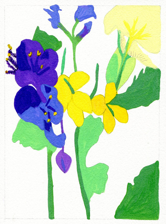 Spiderwort, celandine, iris and bluebell