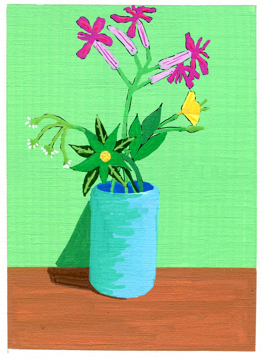 sulphur cinquefoil, cilantro and dame's rocket