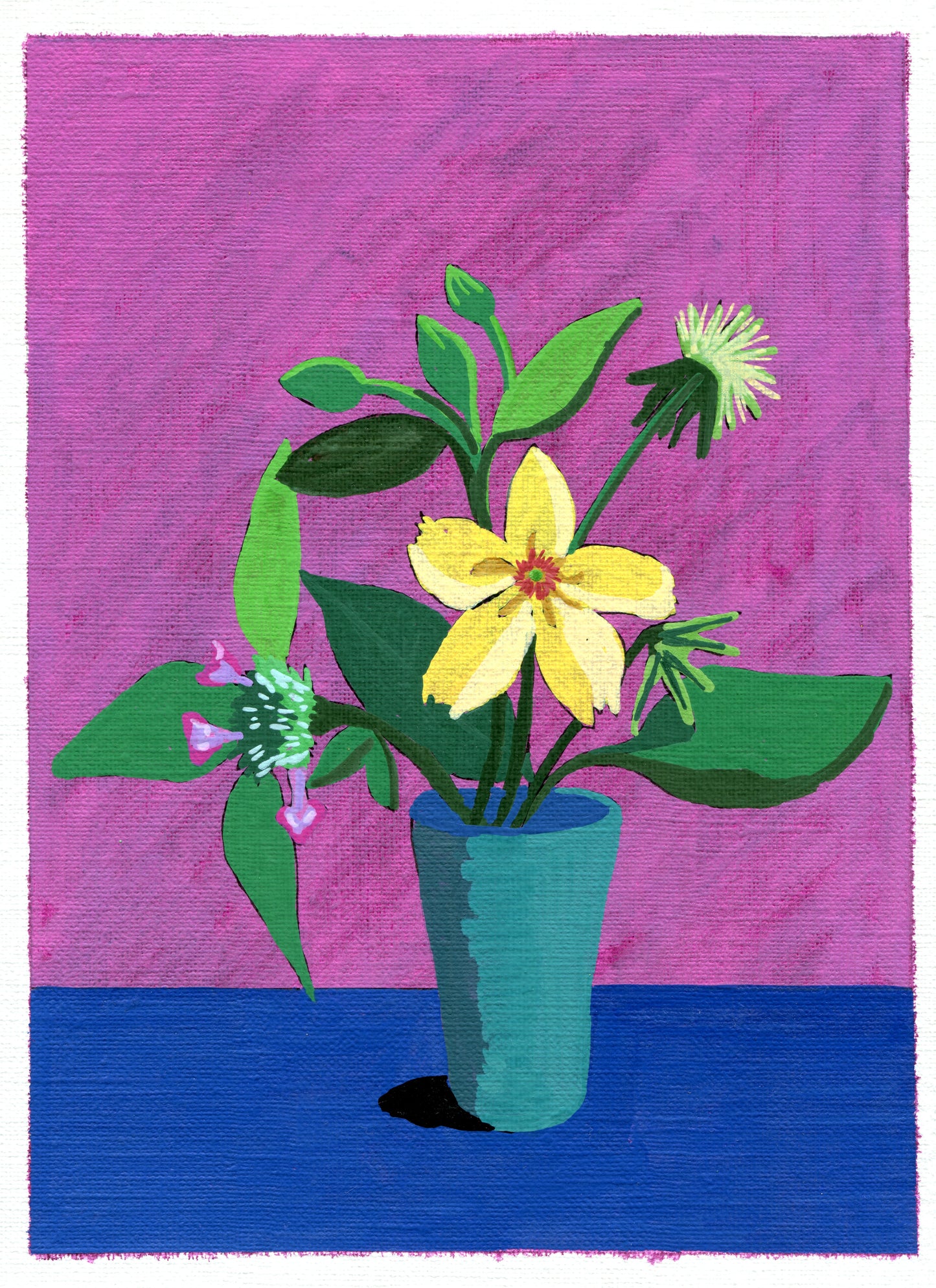 fringed loosestrife, wild basil and fleabane