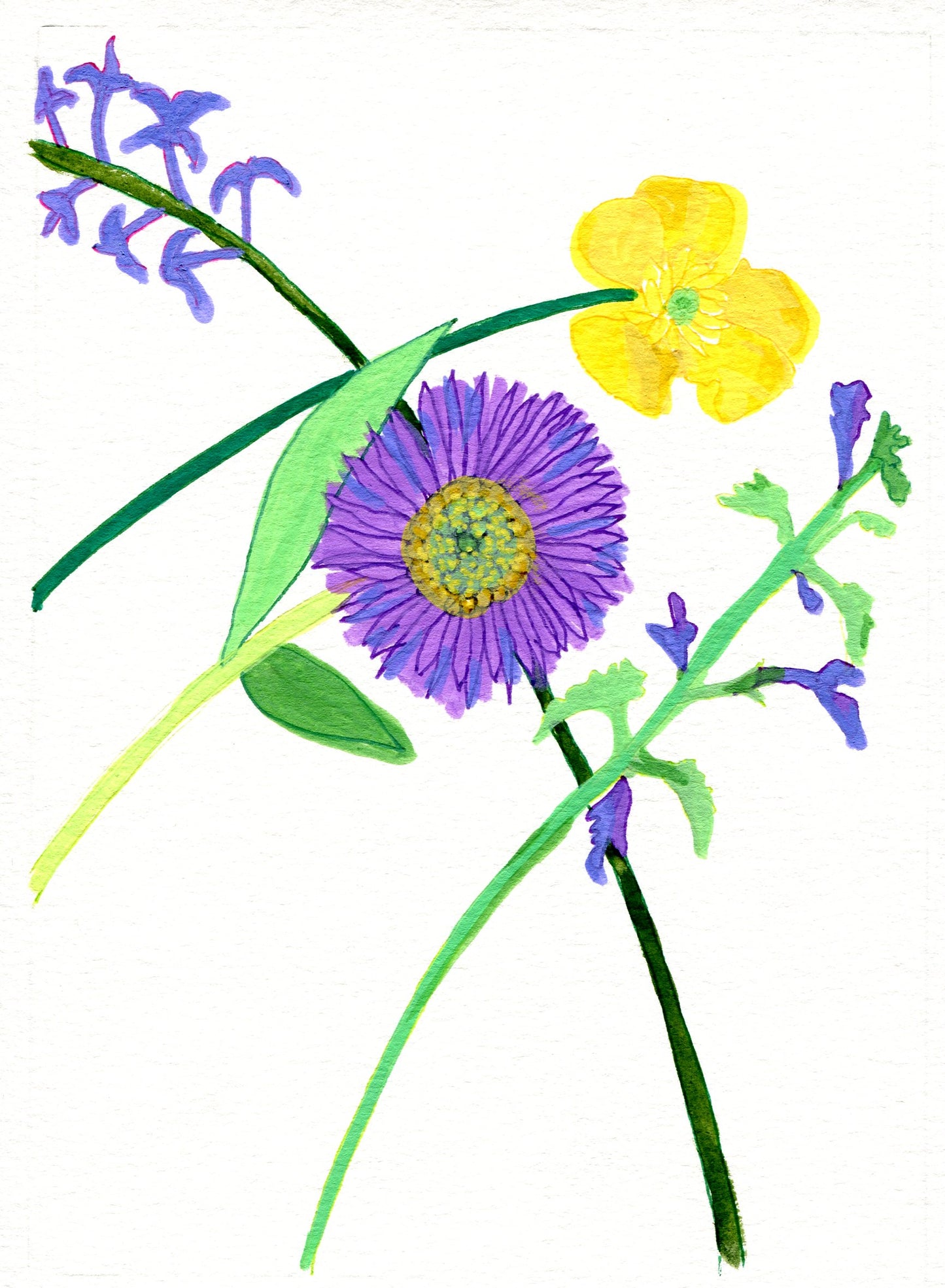 Lilac, aster, buttercup and ground ivy