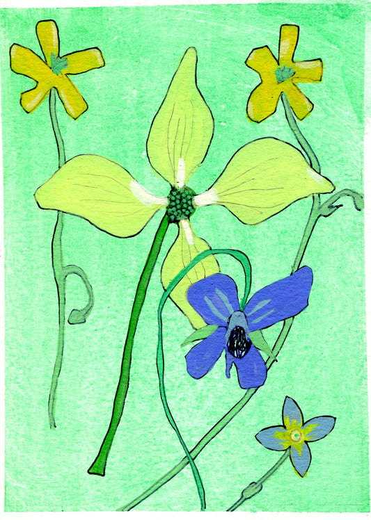 Dogwood, violet, flowering bluet and woodsorrel