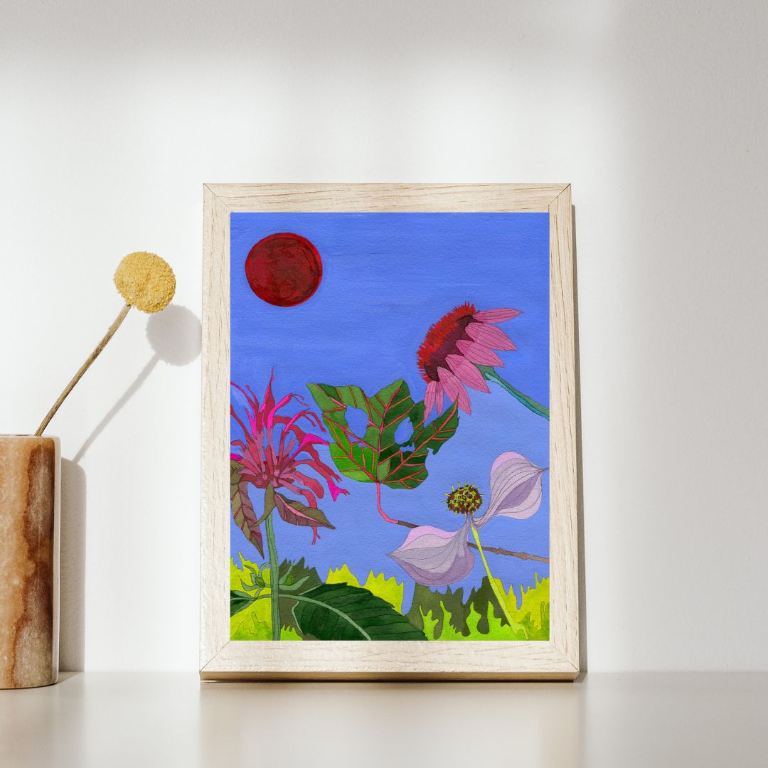 Novel Botanical 9: Echinacea, Beebalm and Kousa Fruit Print
