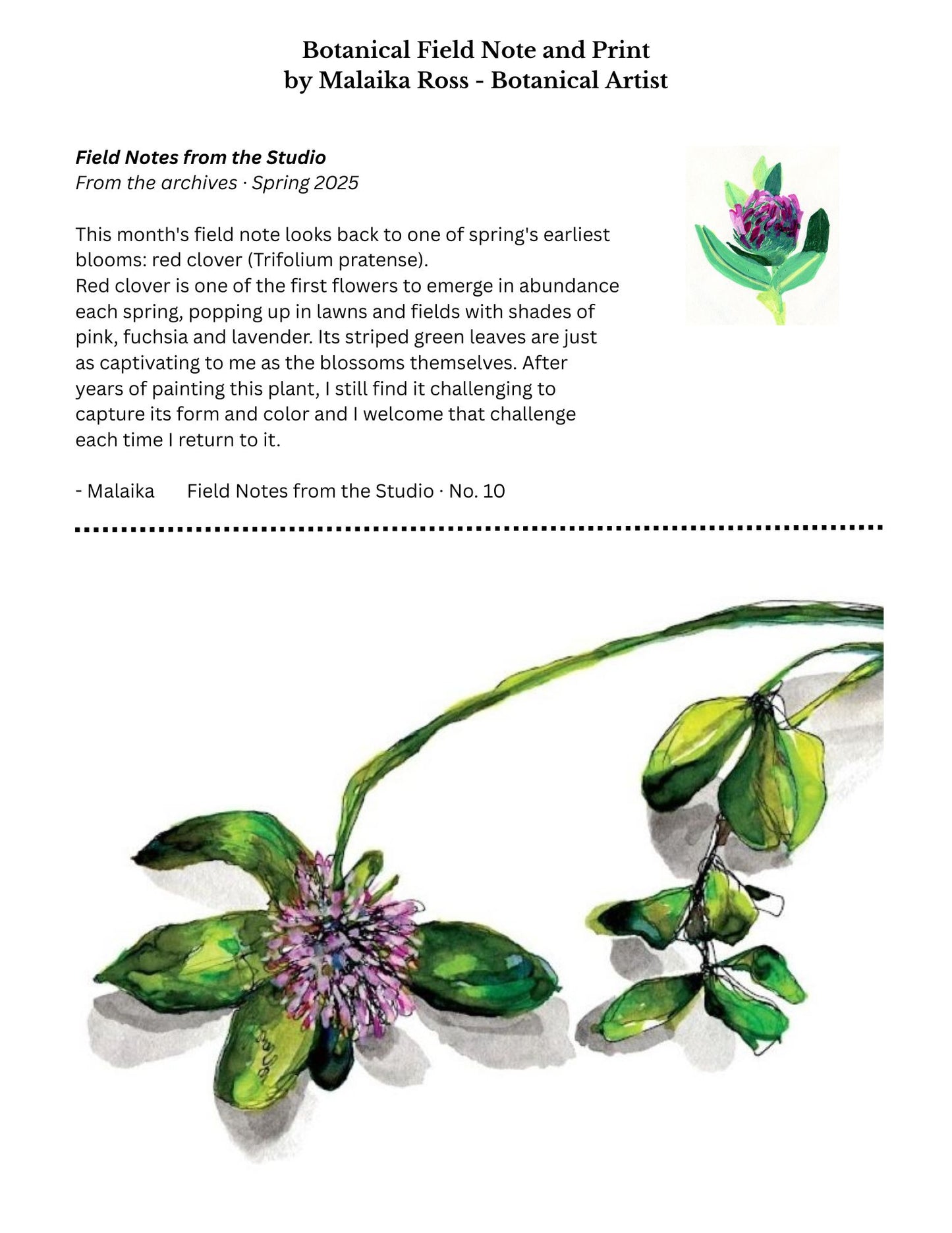 Small Joys Free Field Note and Print Download