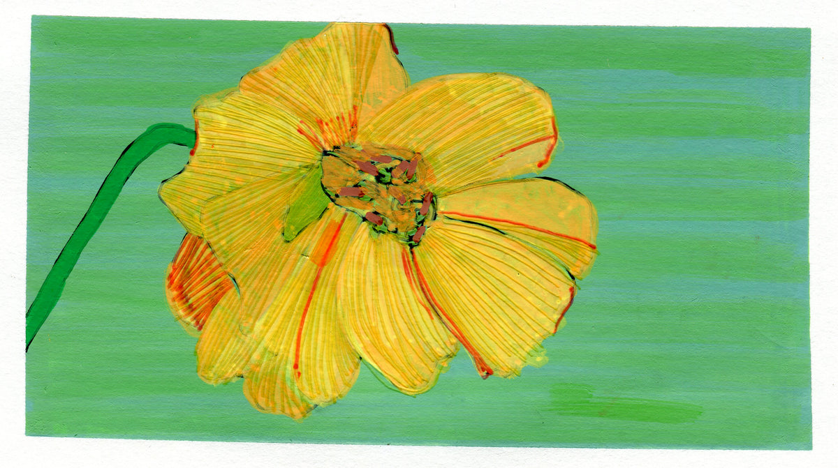 Monthly Small Joys Botanical Postcards (2)
