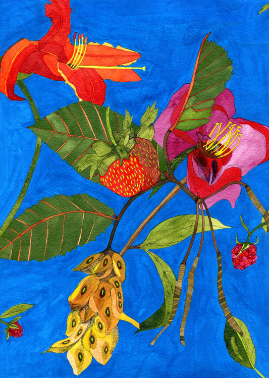 Strawberry, daylily and raspberry midsummer Print