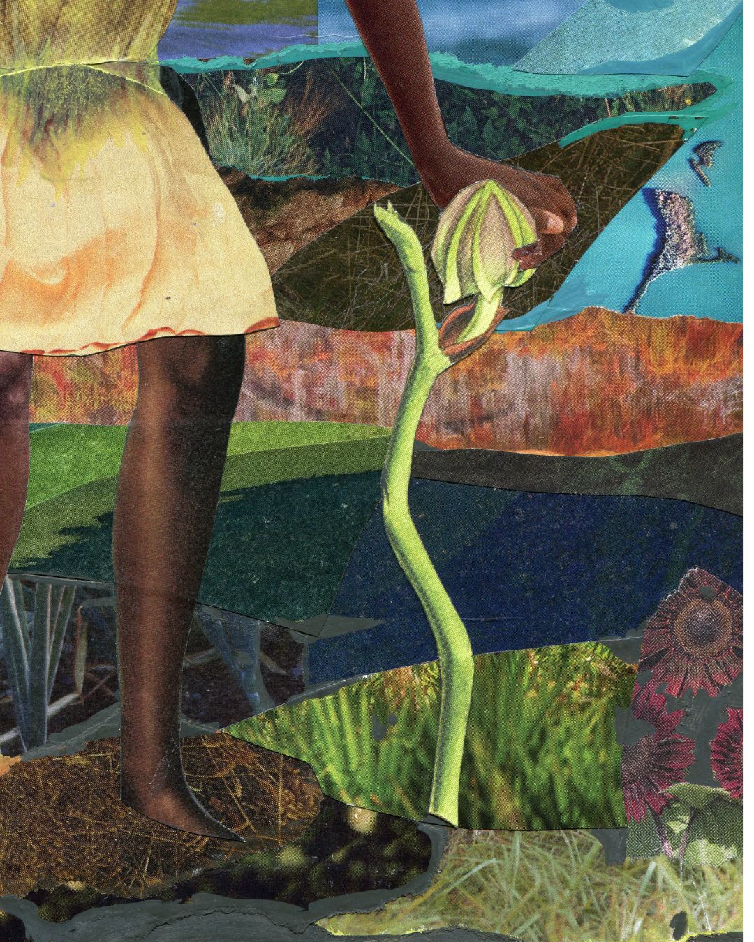 The Herbalist Poster