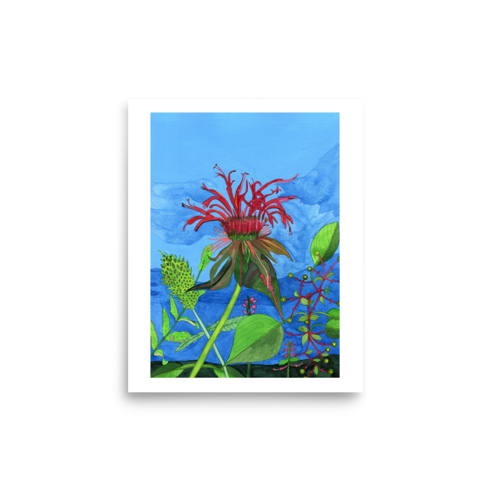 The Land of Beebalm Print
